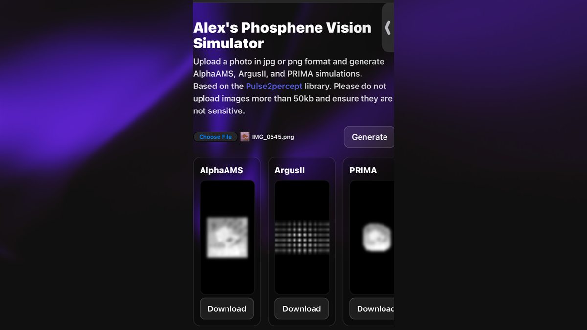 Phosphene vision simulator comparing three simulated prosthetic-vision outputs